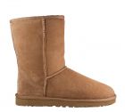 Ugg Classic Short