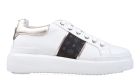 Pollini