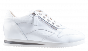 DL-Sport 5668 White Sneaker