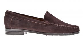 Sioux Campina F 