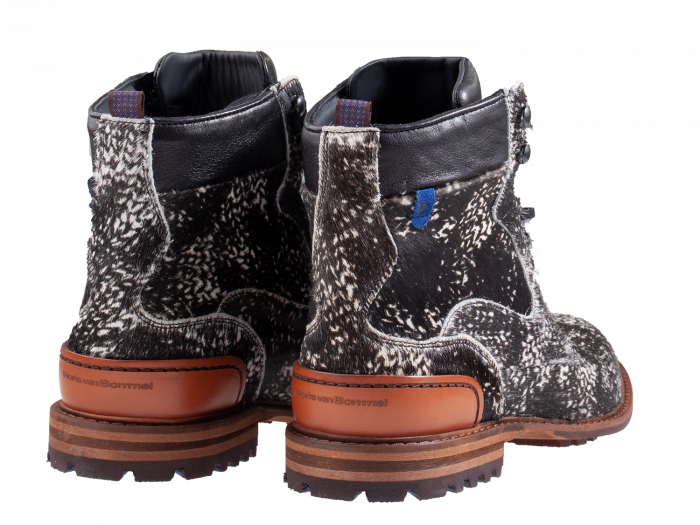 Floris van Bommel | Rethmeier-Bally