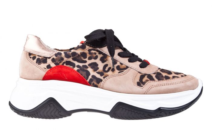 paul green leopard print